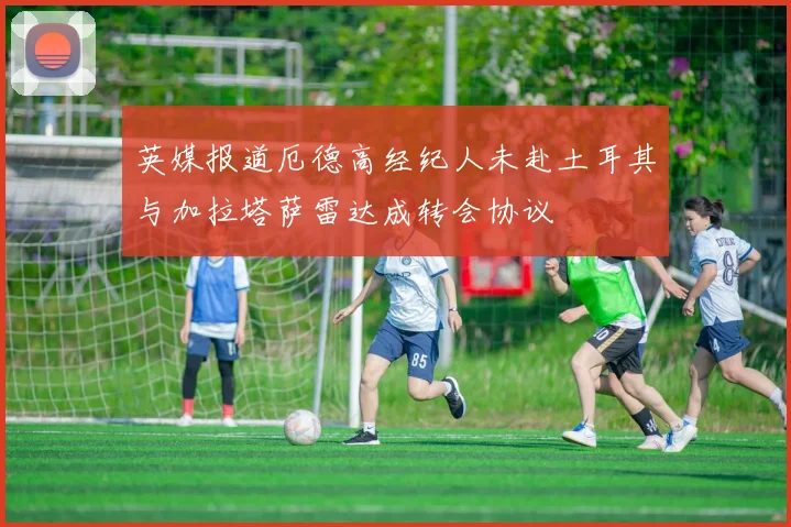 英媒报道厄德高经纪人未赴土耳其与加拉塔萨雷达成转会协议