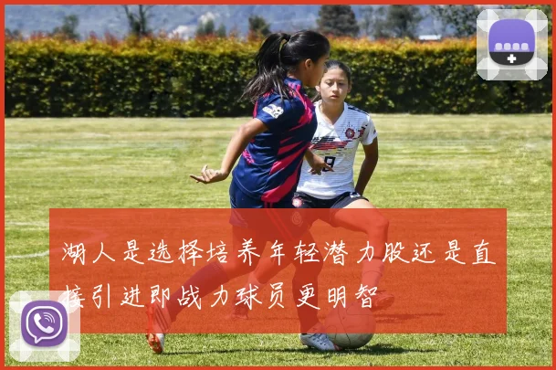湖人是选择培养年轻潜力股还是直接引进即战力球员更明智
