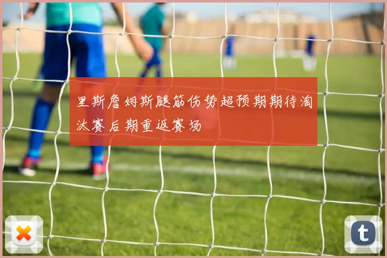 里斯詹姆斯腿筋伤势超预期期待淘汰赛后期重返赛场